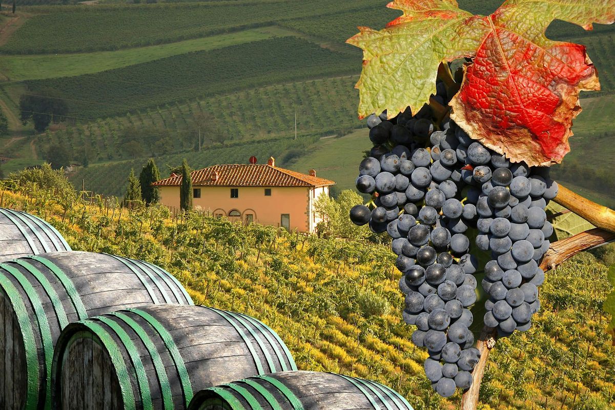 Wines of Northern Italy