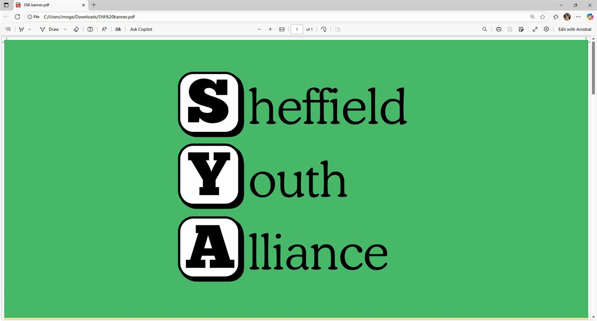 Sheffield Youth Alliance