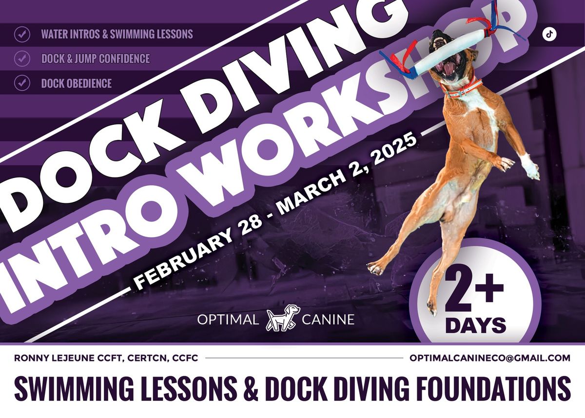 Intro to Dock Diving Workshop - Taught by Ronny LeJeune