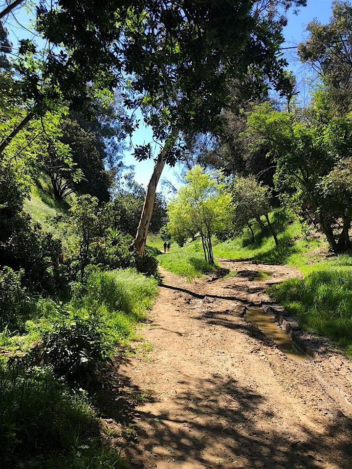 Integral Qigong and Tai Chi: 2nd & 4th Saturdays, Silver Lake "Wilderness"