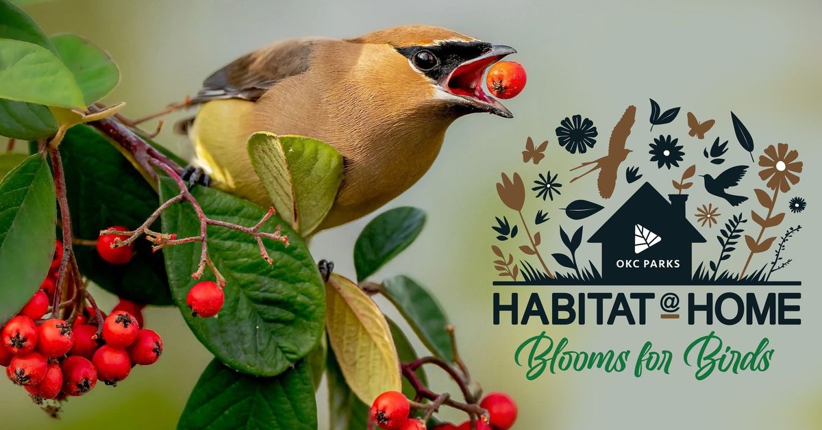 Habitat @ Home: Blooms for Birds
