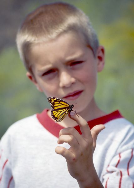 Those Marvelous Migrating Monarchs