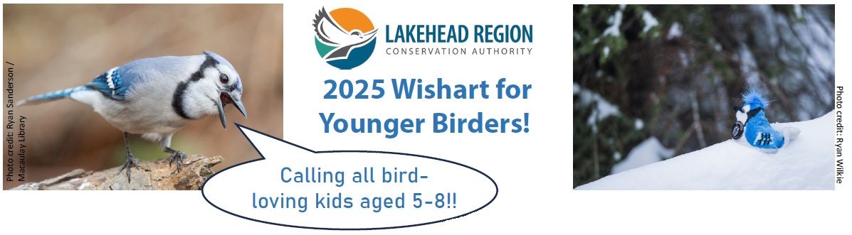 Wishart for Younger Birders (Ages 5-8)