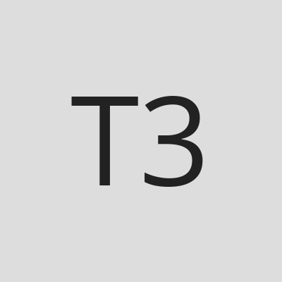 T3