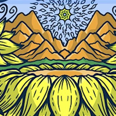 Bloomgrass Music Festival