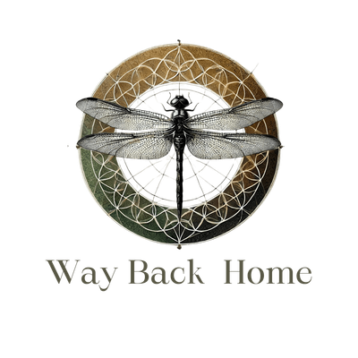 Way Back Home | EcoNIDRA