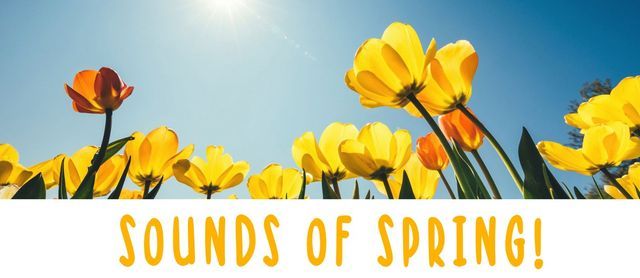 Sounds of Spring!