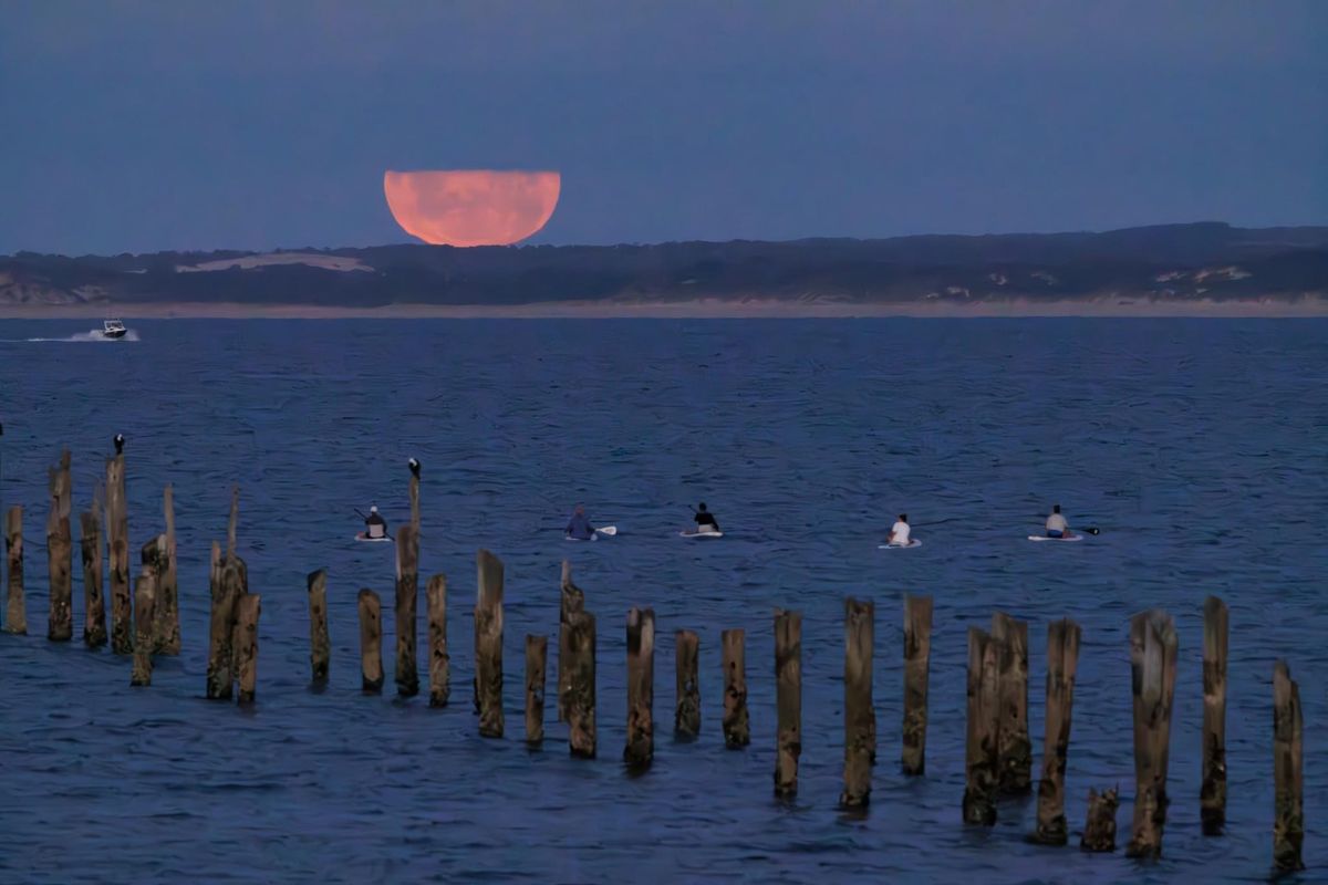 Full Moon SUP (Stand Up Paddle)