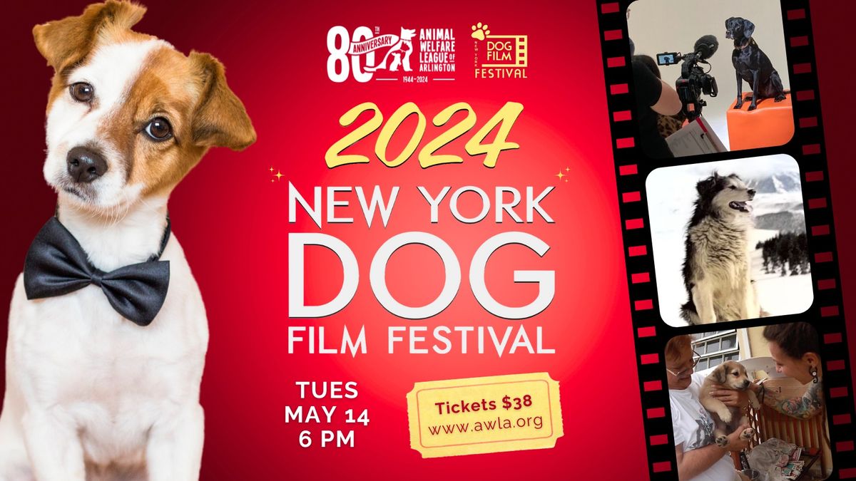 Ny Dog Film Festival
