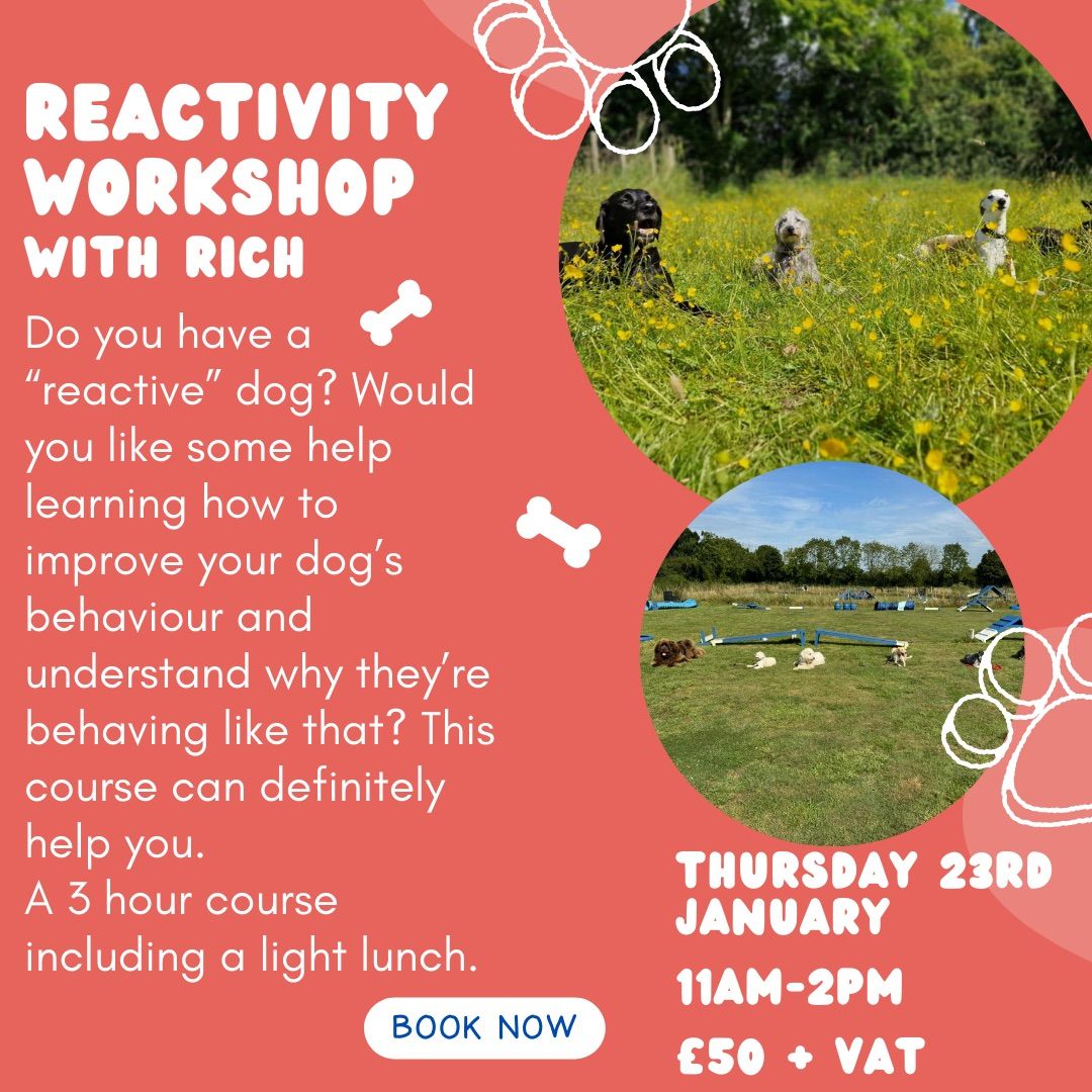 Reactivity Workshop 