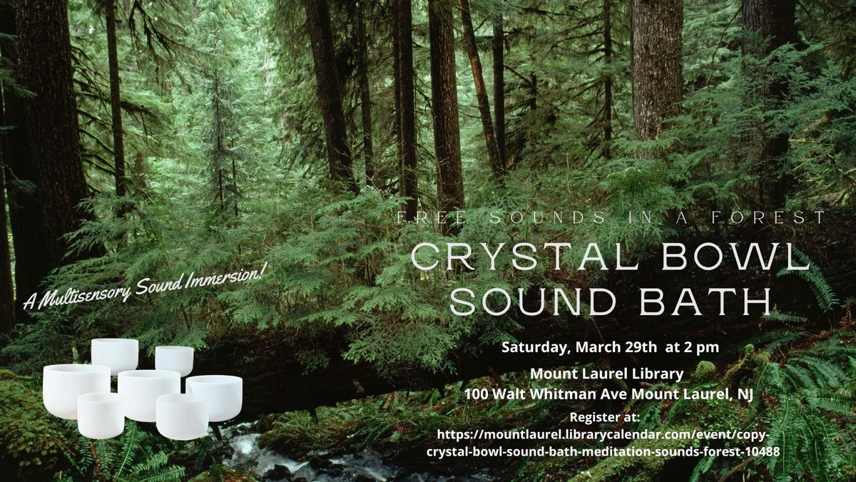 FREE Sounds In A Forest Crystal Bowl Sound Bath - A Multi-Sensory Immersion 