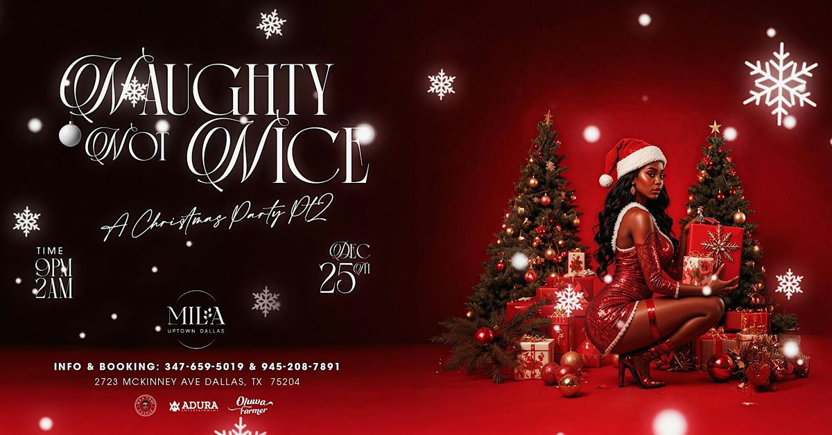 Naughty not Nice (A Christmas party pt.2)