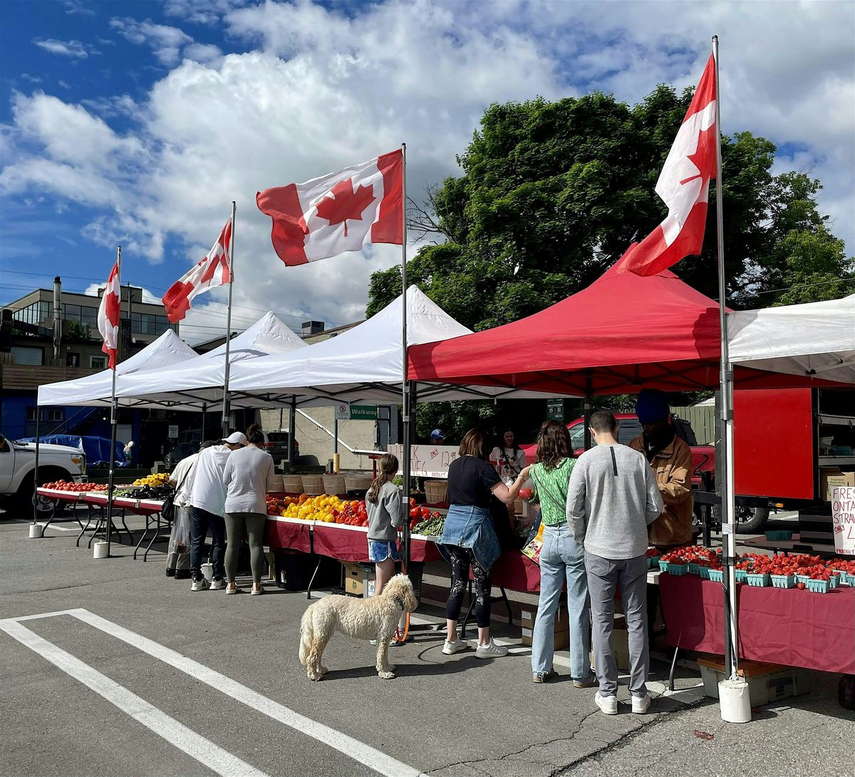 Eglinton Way Farmer's Market