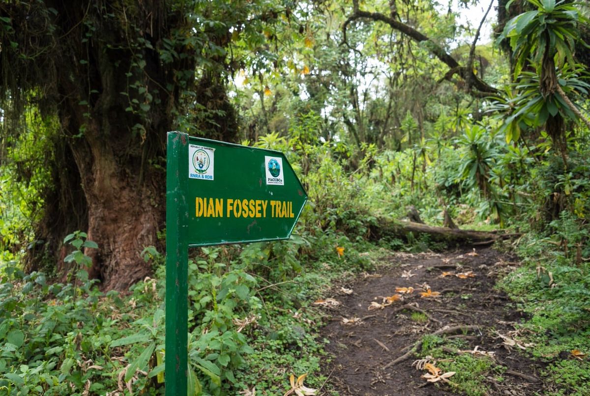 Visit Rwanda - Dian Fossey Tomb visit