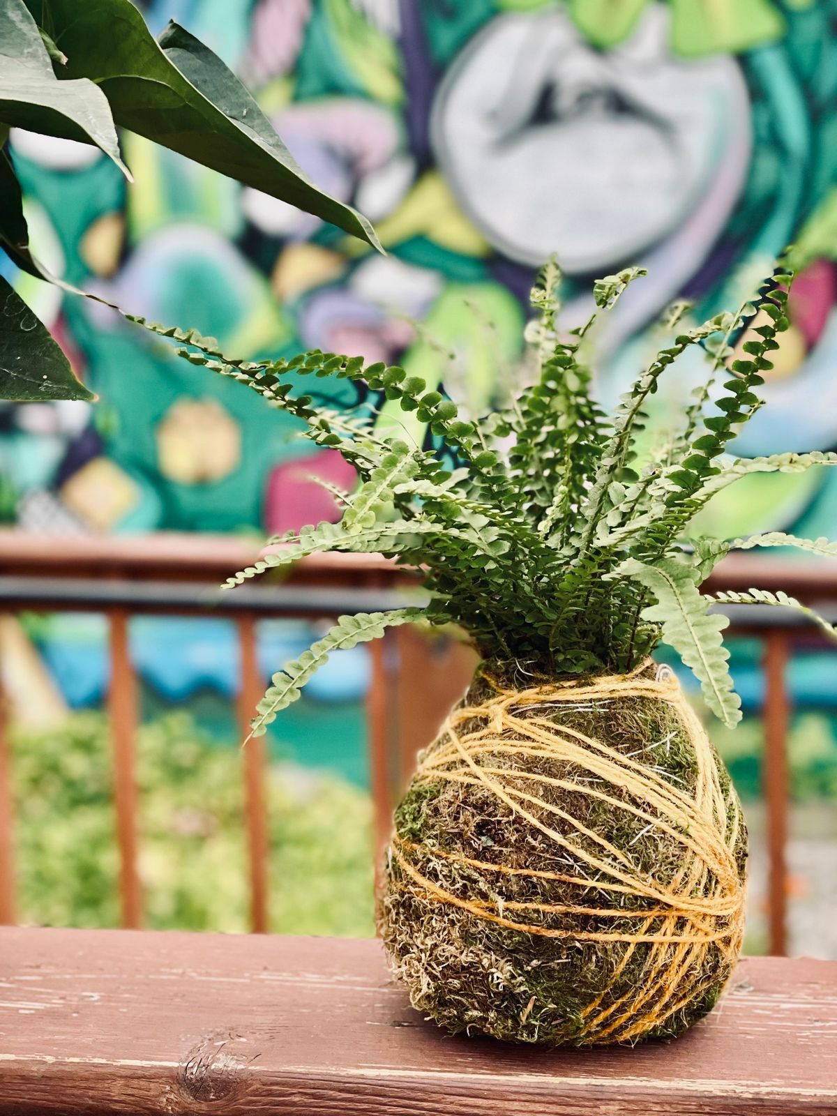 Kokedama Moss Ball Workshop