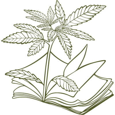 Montana Cannabis Magazine