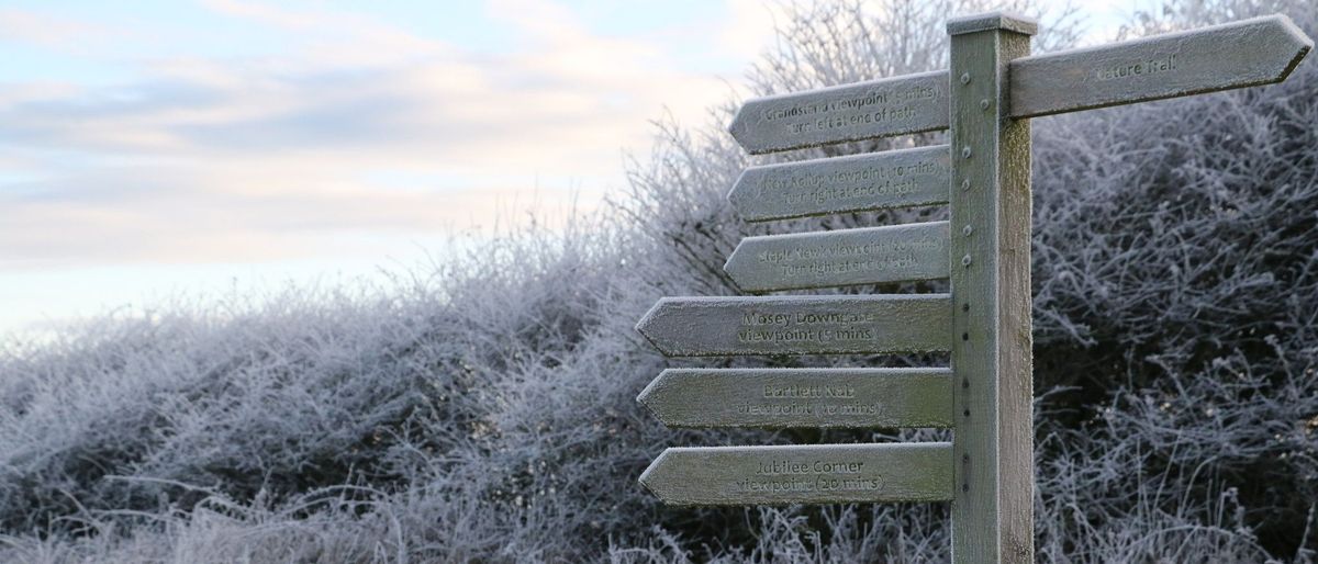 Discover Bempton Cliffs in Late Autumn