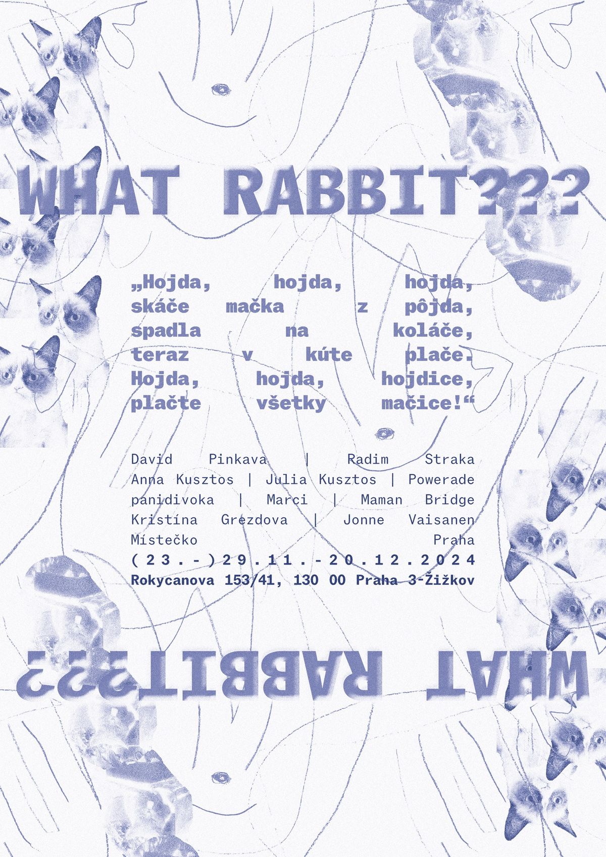 What Rabbit? (Vernissage)