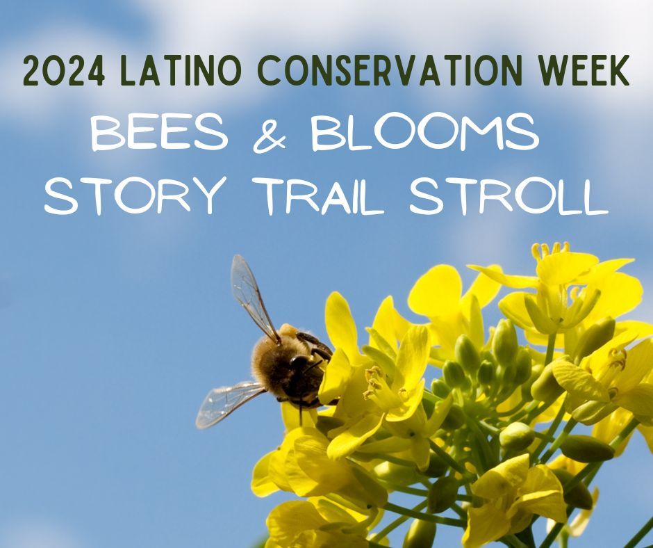 2024 Latino Conservation Week: Bees and Blooms Story Trail Stroll (Espa\u00f1ol)