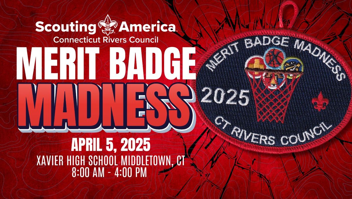 Merit Badge Madness 