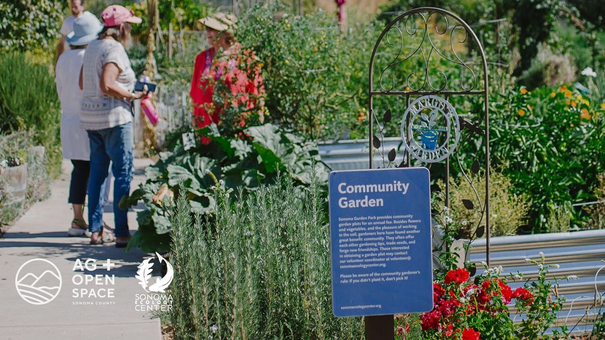 Native Plant Gardening Workshop