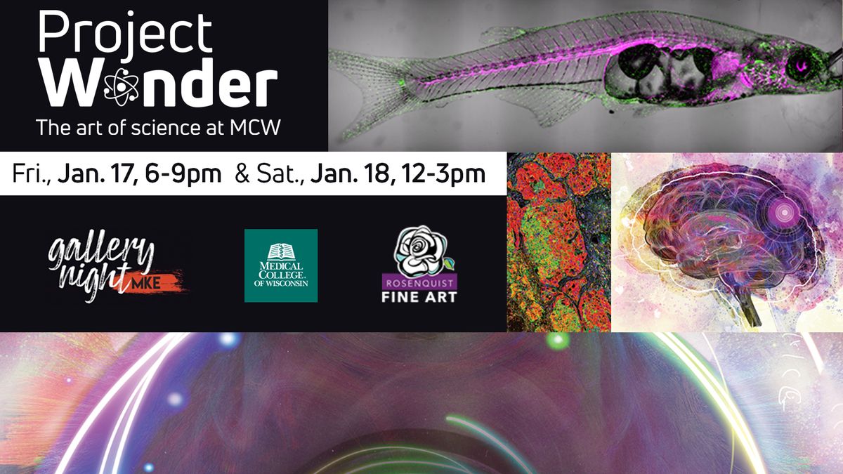 January 2025 Gallery Night - Project Wonder