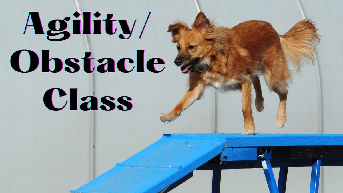 Obstacle Challenge Class