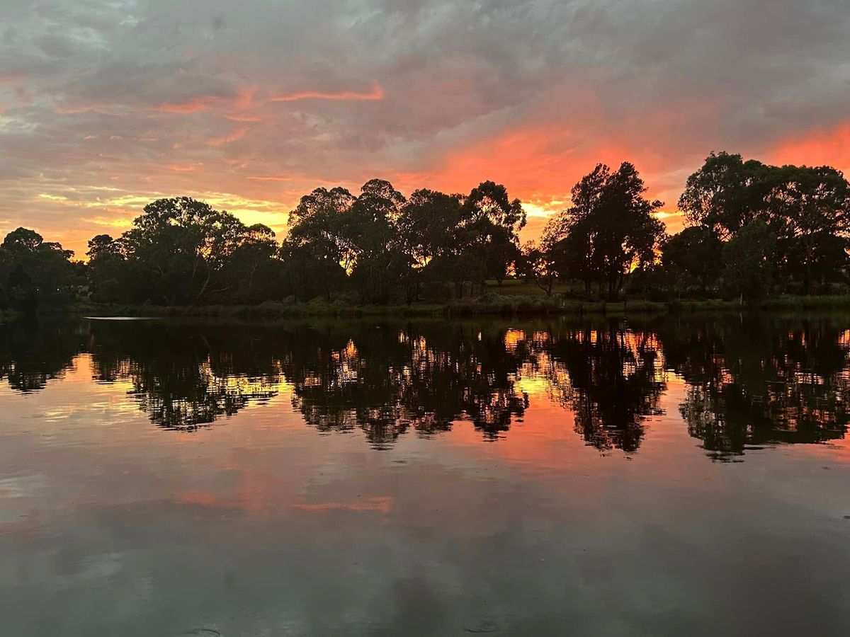 Friends of Edwardes Lake - Lake + Wetlands Tour