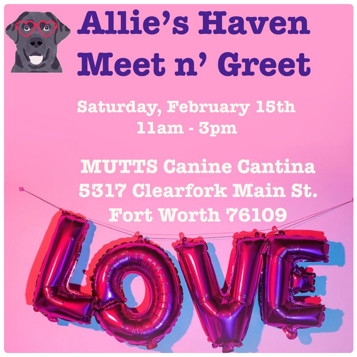 LOVE at MUTTS Canine Cantina 