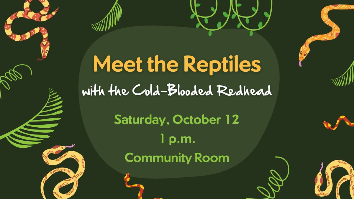 Meet The Reptiles