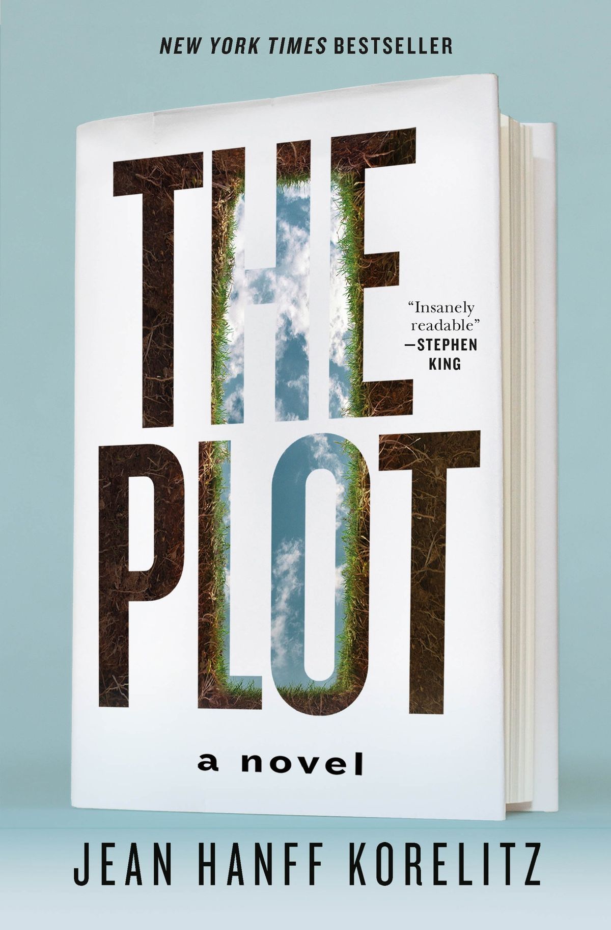 Mercer Island Library Book Club-January Pick