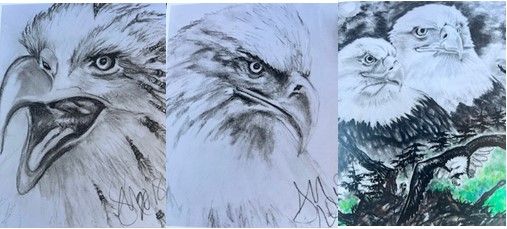 Art Bites - Eagle in Charcoal with Twana MacArthur