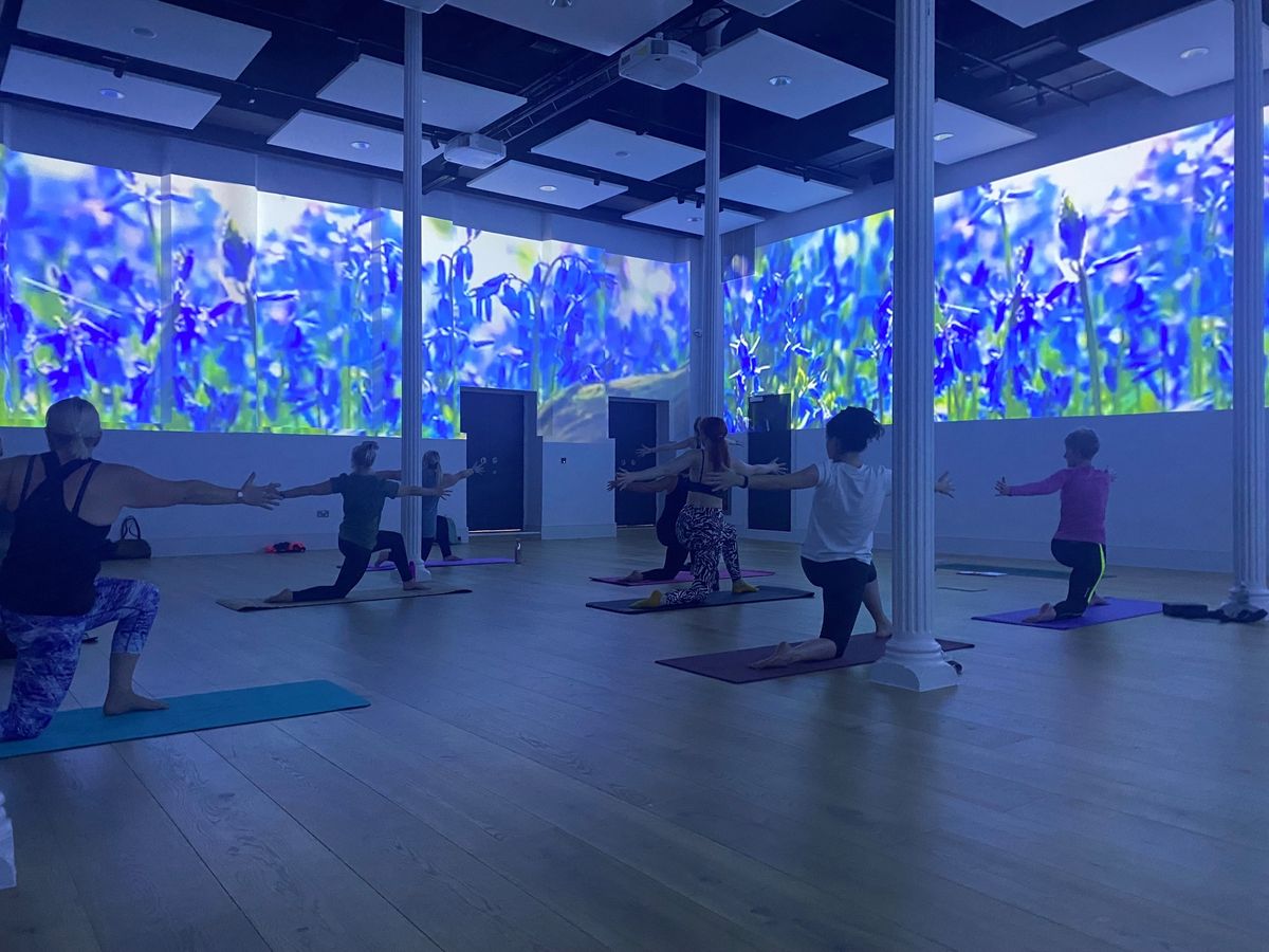 Immersive Yoga