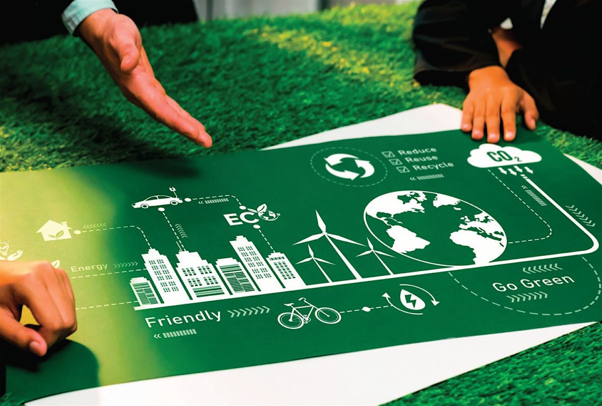 Government and Anchor Institution Procurement