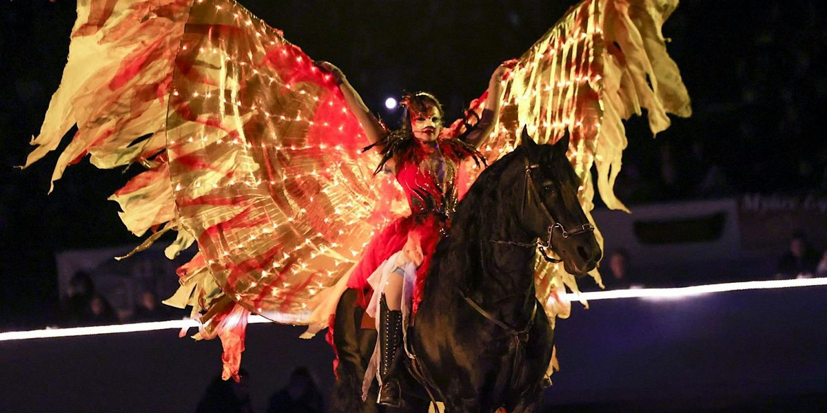 Dream Horse Journey - a breathtaking equine show!