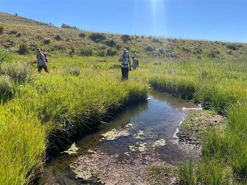 Day Trip: Coyote Ridge Ponds (Ride with Zoo)
