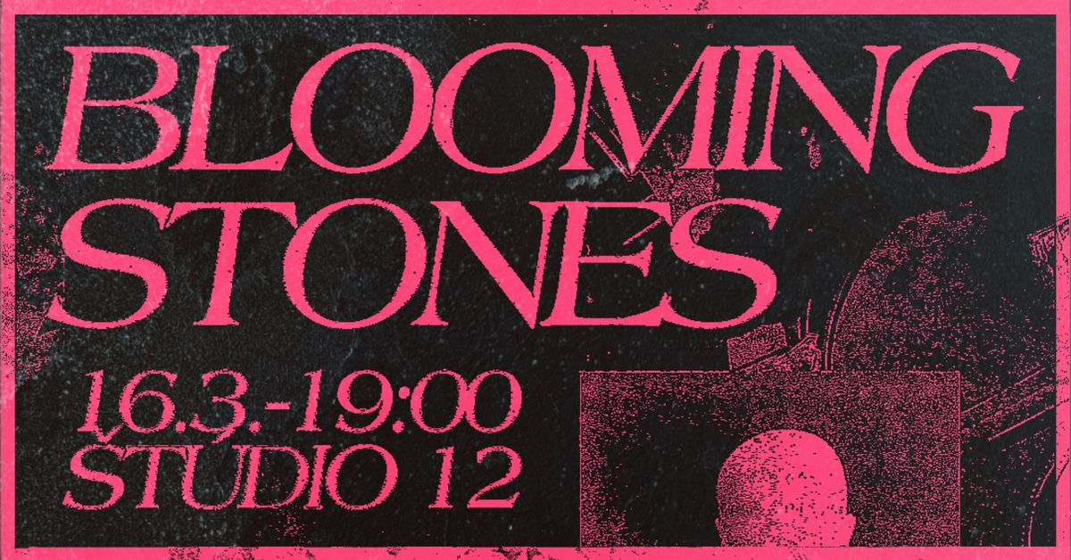 BLOOMING STONES \/koncert\/