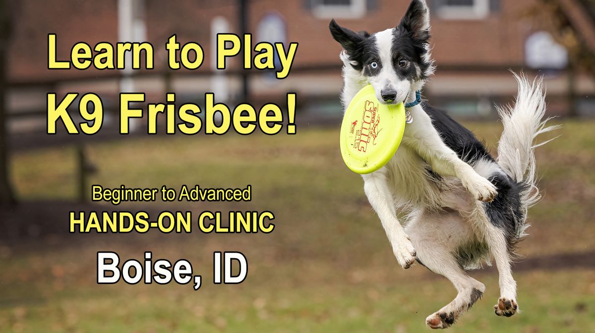 Boise, Idaho | Dog Frisbee Clinic