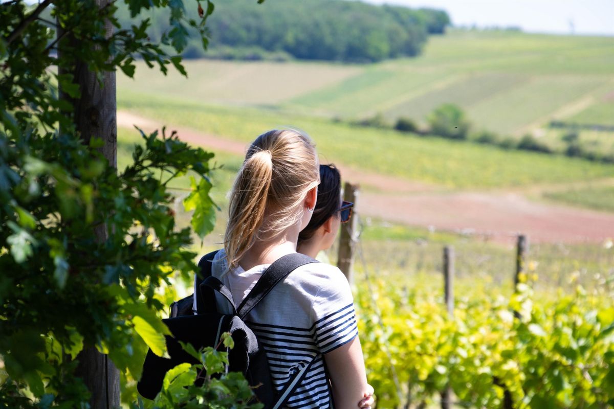 Gef\u00fchrte Wanderung - Rundweg Weinheimer Bucht