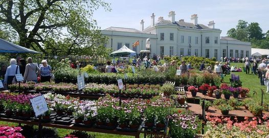 The National Flower Show, Hylands House
