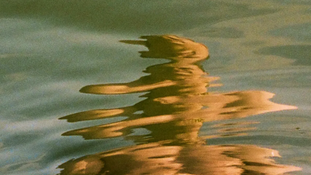 Damien Dempsey, Kila, John Spillane, Pauline Scanlon, Colm Mac Con Iomaire in Dublin