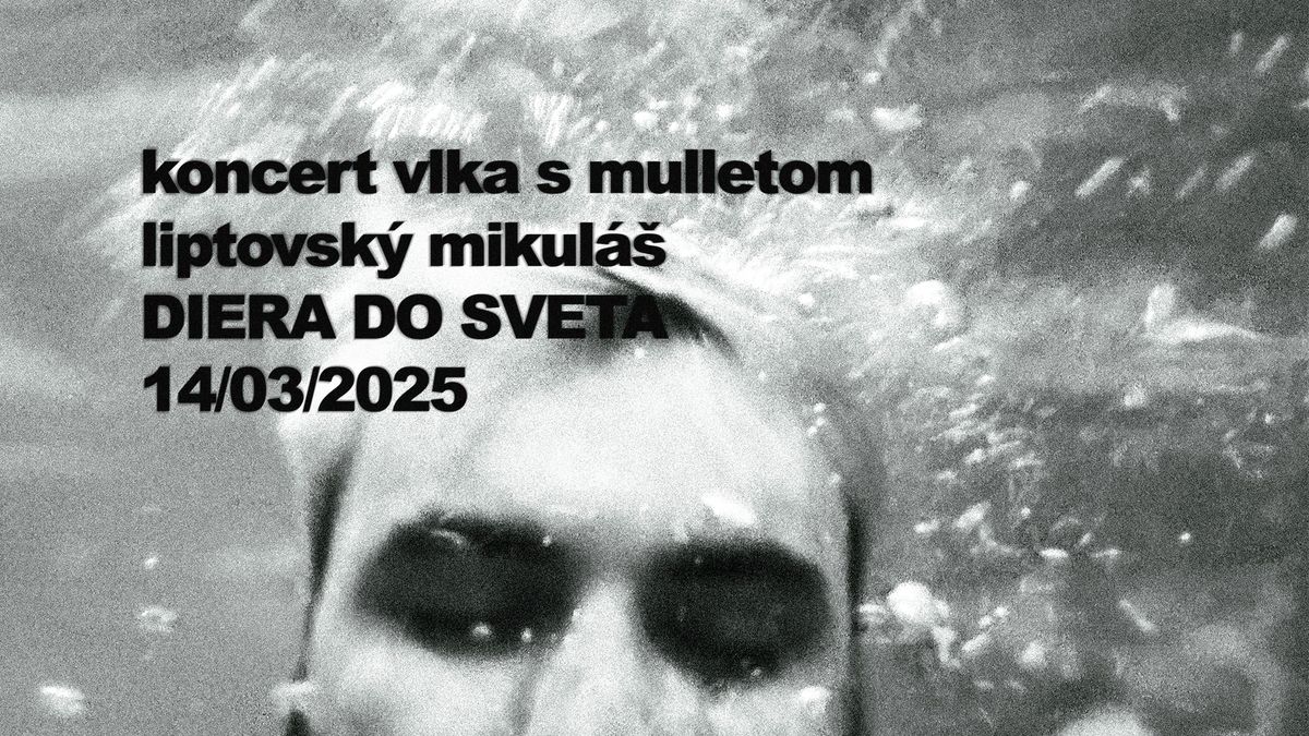 koncert vlka s mulletom @ DIERA DO SVETA