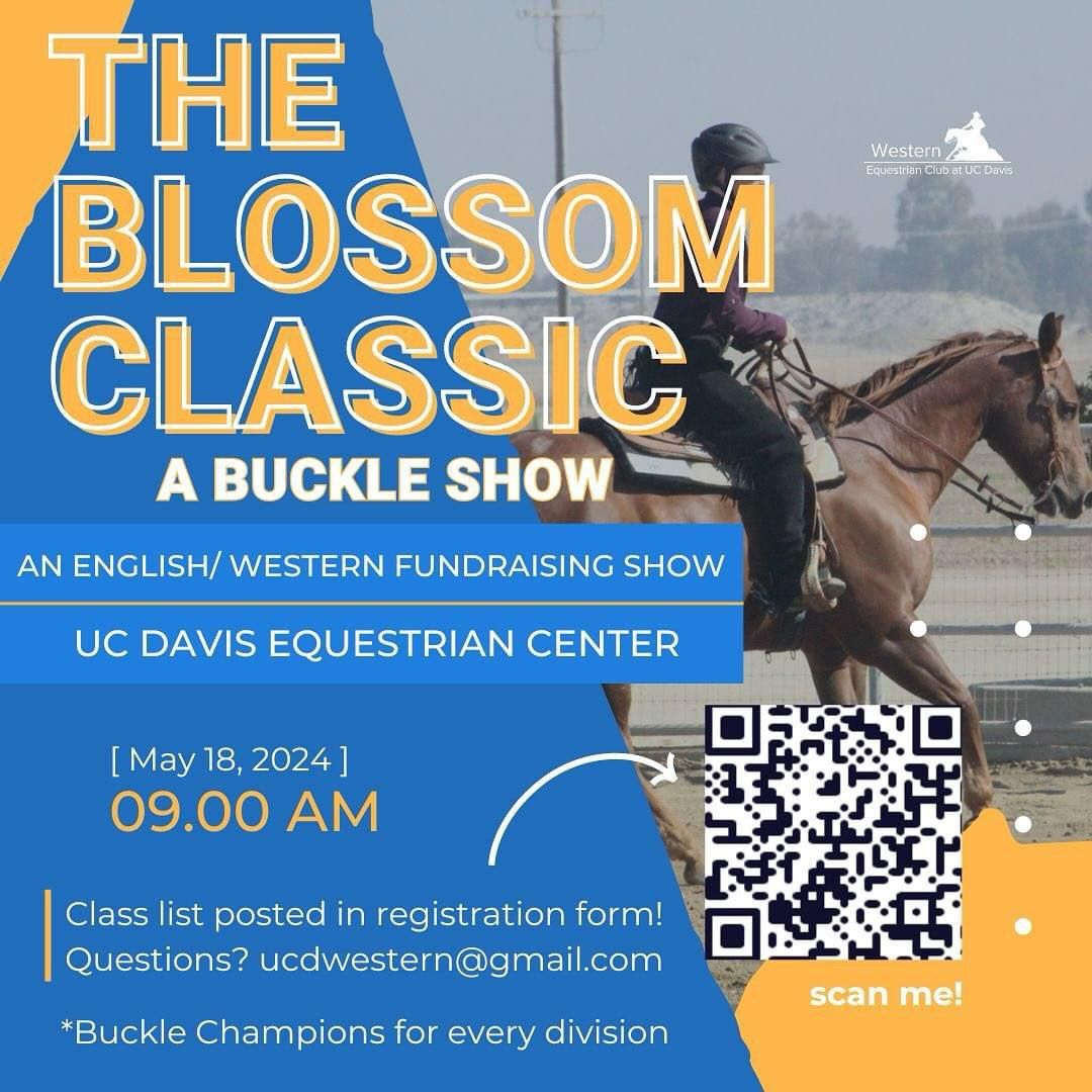 Blossom Classing English, Western, and Ranch Buckle Show