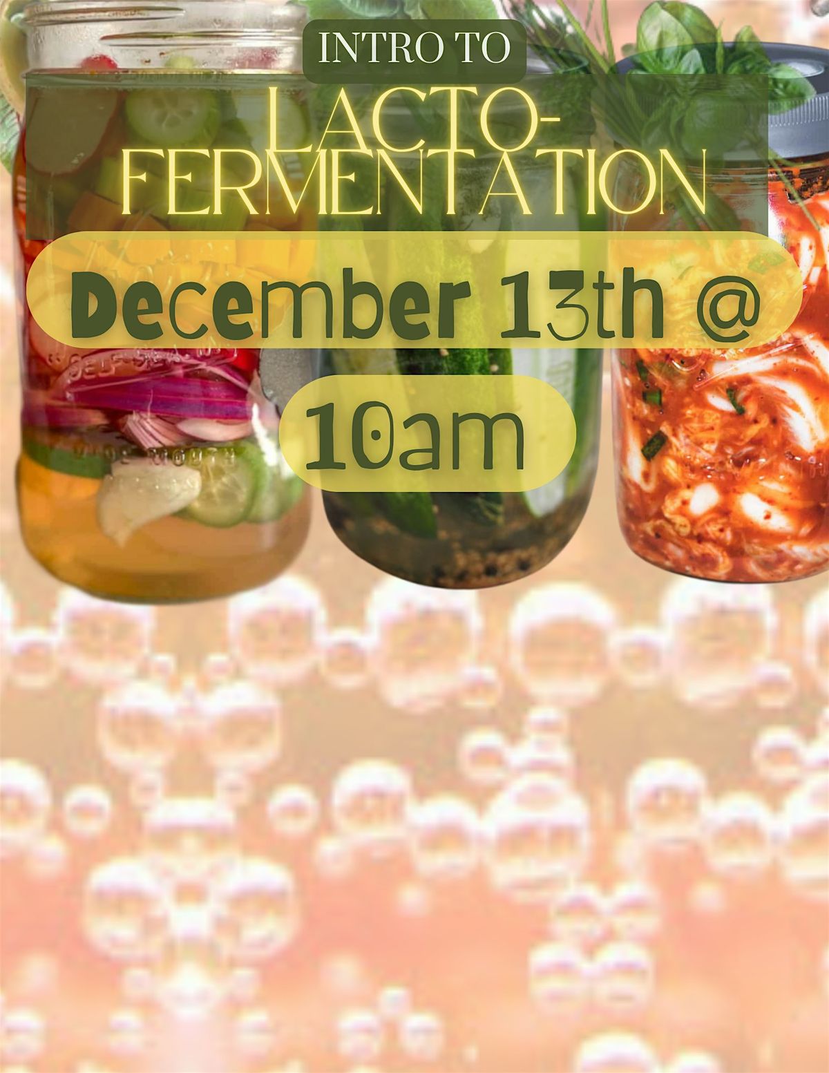 Intro to Lacto-fermentation