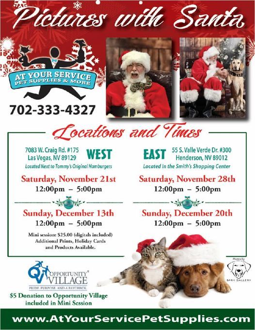 strong retractable dog leash