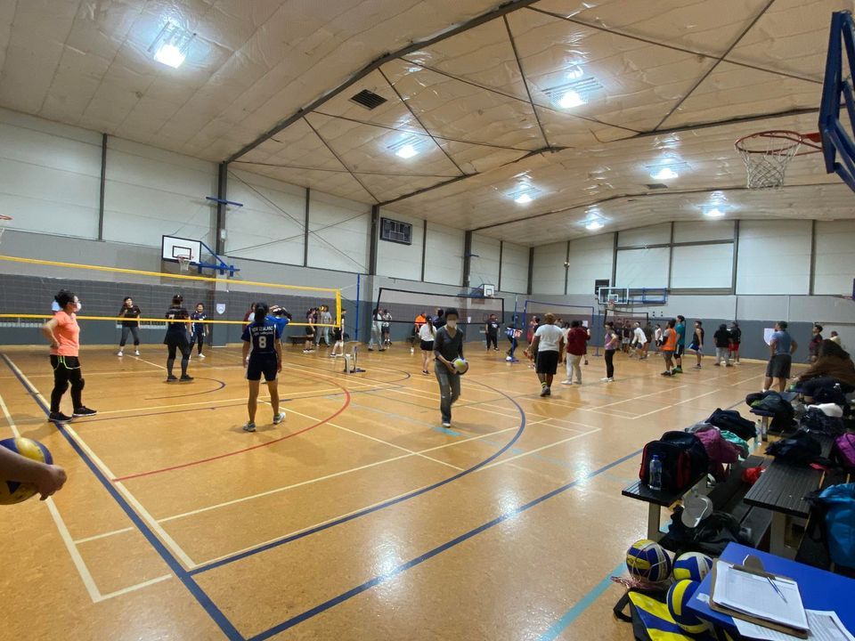 Tuesday Night Social Volleyball with Open Drop in Courts 