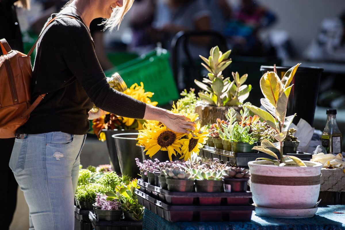 Callingwood Farmers Market