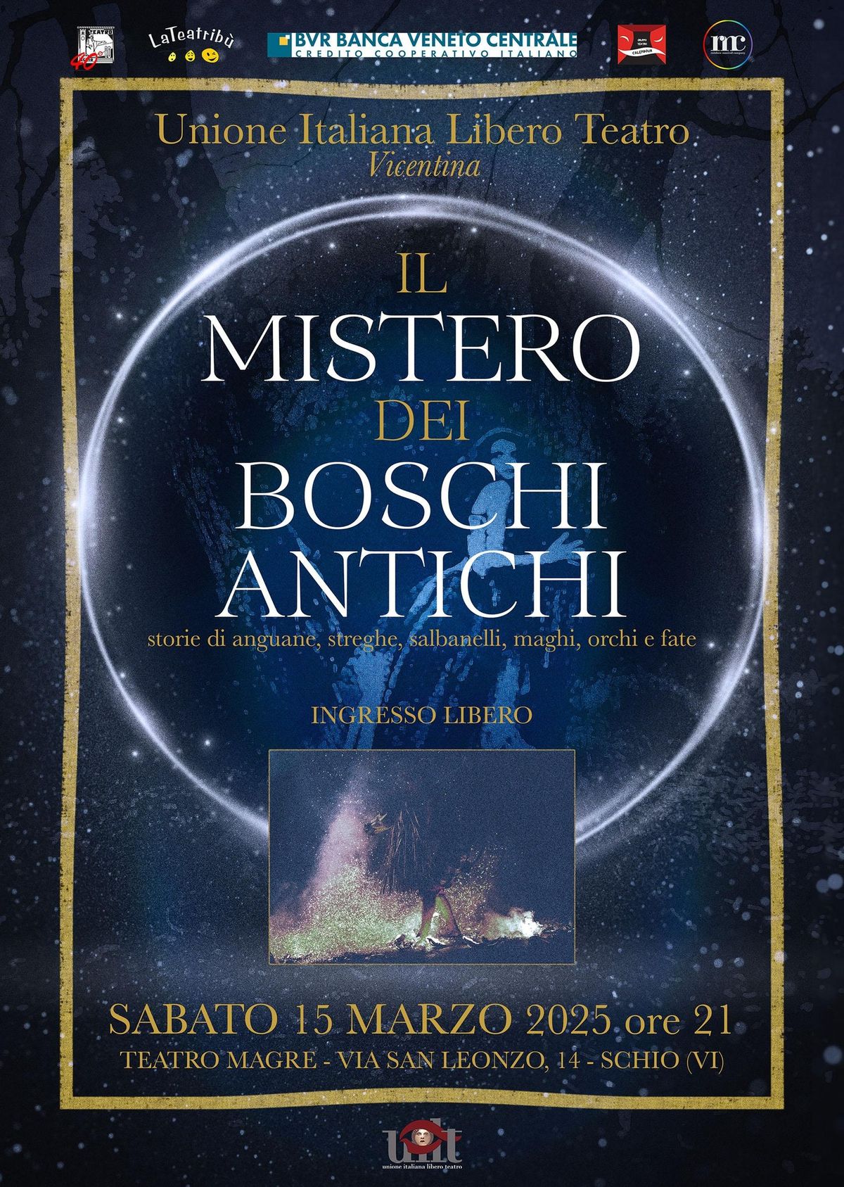 Il mistero dei boschi antichi