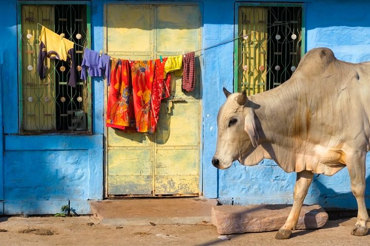 18 daagse spirituele reis naar India