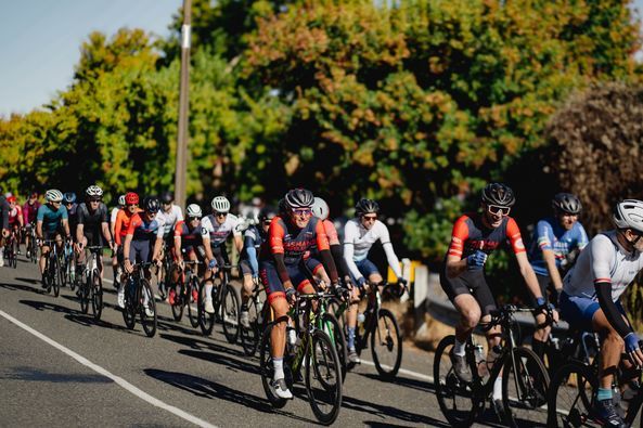 TASMAN WHEELERS AND VILLAGE CYCLES TASMAN CLASSIC